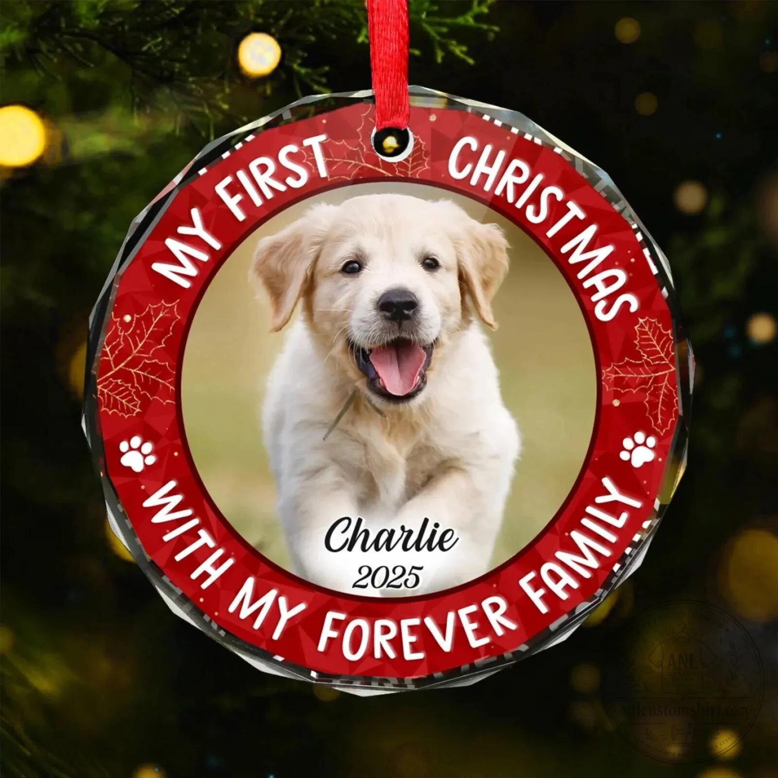 Personalized My First Christmas With My Forever Family Pet Photo Glass Ornament